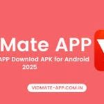 Vidmate APK No Ads Free Download for Android Devices