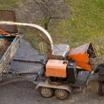 Tree Removal Service Mobile for Safe and Fast Tree Solutions