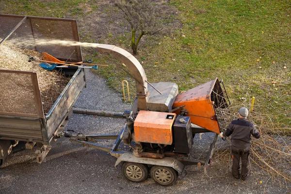 Tree Removal Service Mobile for Safe and Fast Tree Solutions